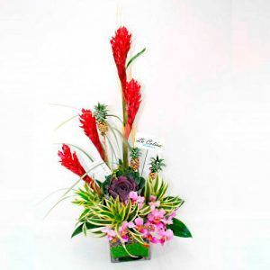 Arreglo Floral Exótico con Orquídeas Hawaianas a domicilio Bogotá