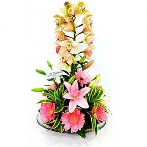 Arreglo de Orquídeas a domicilio en Bogotá