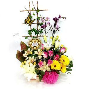 Arreglo Floral con Planta de Orquídea chocolates y cerveza bogota
