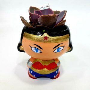 Planta Suculenta Con Matera Super Heroes La Colina