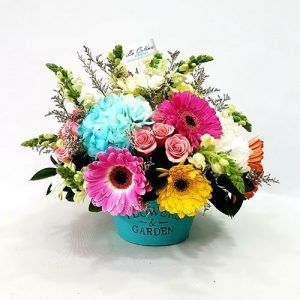 Arreglo de Gerberas y Hortensias Natural a domicilio en Bogotá