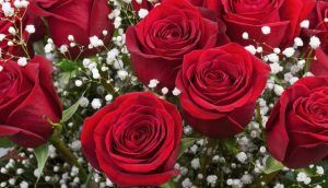 Arreglos florales san valentin