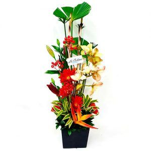 Arreglo Exótico con Orquídea y Lirio