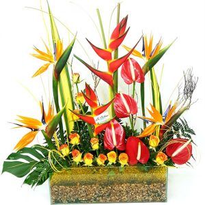 Arreglo Exótico con Heliconias y Aves de Paraíso
