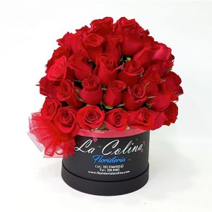 Cilindro de 50 Rosas Para Cumpleaños a domicilio Bogotá