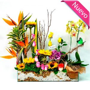Arreglo Floral con Orquideas y Flores exoticas Bogota