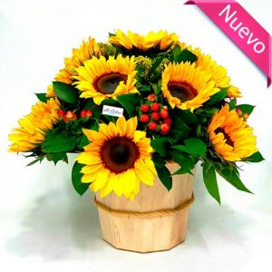 Arreglo Floral de Girasoles a domicilio Bogota