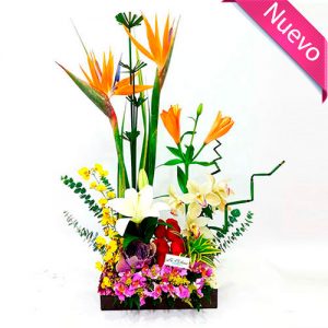 Arreglo floral exótico con orquidea Manizales