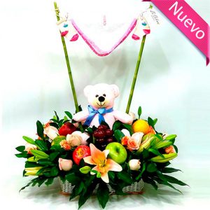 Arreglo frutal con Peluche para nacimiento de un bebe