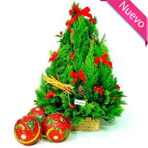 Pino limón navideño