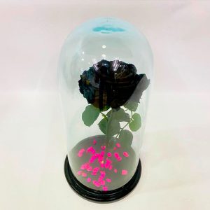 Rosa inmortalizada con capsula
