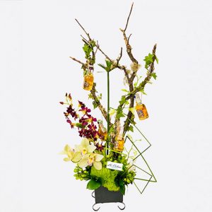 Arreglos florales con orquídeas a domicilio en Bogotá Elixir