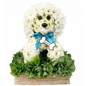 Perrito Floral a domicilio Bogota Tarzan
