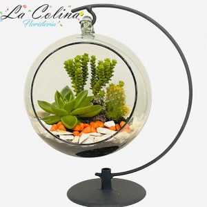 Suculentas en pecera colgante