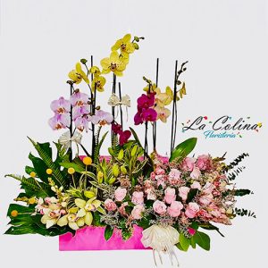 Arreglo Floral con Rosas y Planta de Orquídea