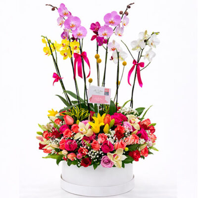 caja de planta de orquídea con rosas ginebra
