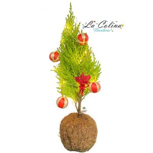 Bonsai decorado con luces y accesorios