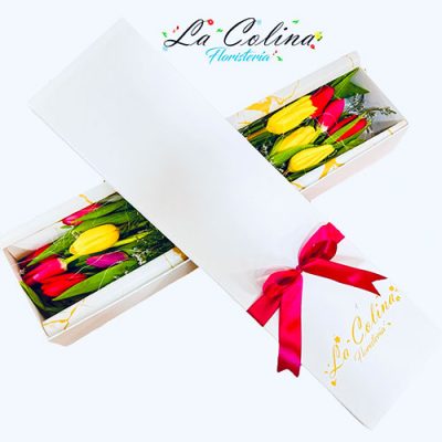 Caja de tulipanes - Caja de Flores
